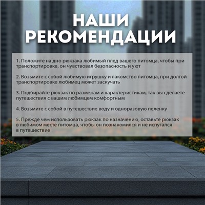 Рюкзак-переноска для кошек и собак, сетка с кошкой, оксфорд+ПВХ37×37×25 см, серый/жёлтый