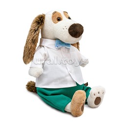 Собака Бартоломей в белоснежной рубашке