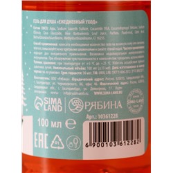Подарочный набор URAL LAB «Уютного года»: гель для душа 100 мл и крем для рук 30 мл, Новый Год