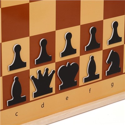 Шахматы демонстрационные, магнитные, 73×73 см