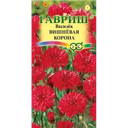 Василек Вишневая корона (Гавр)