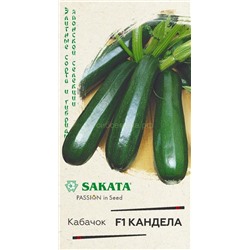 Кабачок цукини Кандела F1 (Гавр)