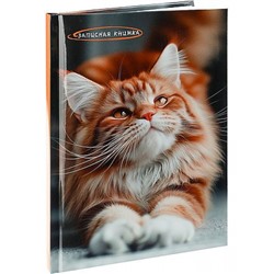 Записная книжка А5 80л "ФОТО КОТИКА" глянц.лам. 80-9071 Проф-Пресс