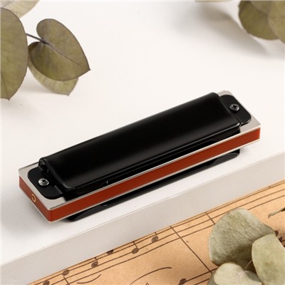 Губная гармошка Music Life T008L C диатоническая, 10 отверстий, с футляром