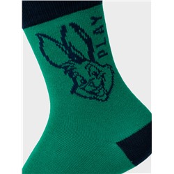 Носки трикотажные для мальчиков, 5 пар в комплекте