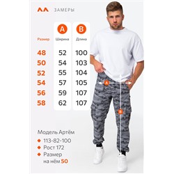 Мужские брюки из футера двухнитки Happyfox