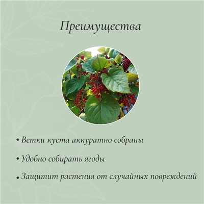 Кустодержатель, d = 64 см, h = 50 см, ножка d = 2 см, пластик, чёрный, «Смородина»