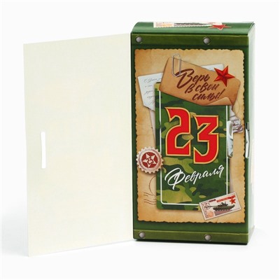 Чай подарочный «Лучшему мужчине 23 февраля», вкус: чабрец, 100 г