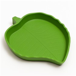 Кормушка для террариума, 15.4×12.4×1.8 см, зелёный