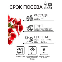 Семена комнатных цветов Глоксиния Аванти "Красная с белым краем", ц/п,  8 шт.