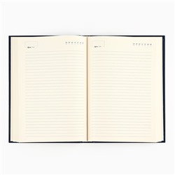УЦЕНКА Ежедневник «Золотой учитель» А5, 160 л, твёрдая обложка, кожзам, синий