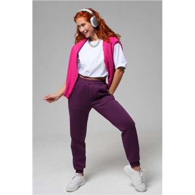 Брюки 8293 (Сливовый)