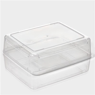 Контейнер для хранения яиц Доляна, 20 ячеек, 27.5×22×7 см, пластик, прозрачный, голубой