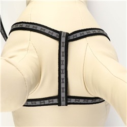 Шлейка с поводком «Косточки», ОШ 22-34 см, ОГ 22-34 см, поводок 1×120 см, светоотражающая, чёрная