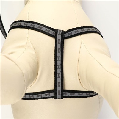 Шлейка с поводком «Косточки», ОШ 22-34 см, ОГ 22-34 см, поводок 1×120 см, светоотражающая, чёрная