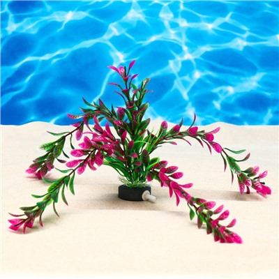 Растение искусственное