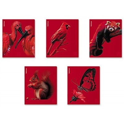 Тетрадь  48л клетка "Scarlet" soft-touch 64868 ErichKrause