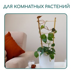 Шпалера, 60×20×1 см, бамбук, «Одинарная», Greengo