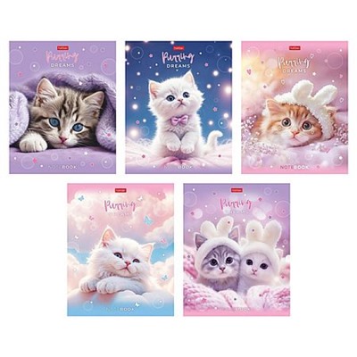 Тетрадь  48л клетка пластиковая обложка 300мкм "Нежные мечты" (092369) Хатбер