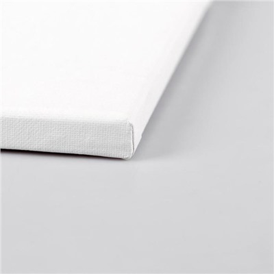 Холст на подрамнике, хлопок 100%, 20×30×1.8 см, акриловый грунт, мелкозернистый, 280 г/м², «Студия»