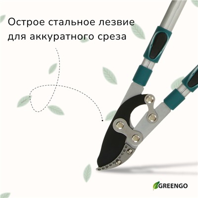 Сучкорез профессиональный, 27.5−40.5" (70.5−103 см), телескопический, с пластиковыми ручками, МИКС, Greengo