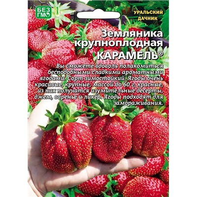 Земляника Карамель крупн (УД)