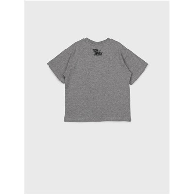 Фуфайка трикотажная для мальчиков (футболка)