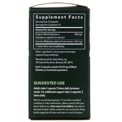 Gaia Herbs, черная бузина с фруктами ацеролы, 30 веганских капсул
