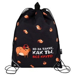 Сумка для сменной обуви 36х48 см "КРУТАЯ КАПИБАРА" 72329 петля подвес, ручка-петля, светоотр.элементы Феникс