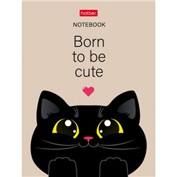Записная книжка А6  32л клетка "Котэ" мат.лам (090687) Хатбер