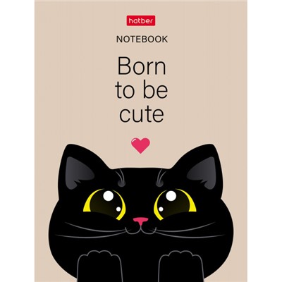 Записная книжка А6  32л клетка "Котэ" мат.лам (090687) Хатбер
