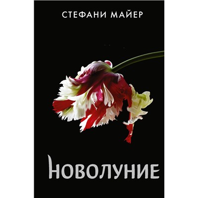 АСТ Стефани Майер "Новолуние (новое оформление)"