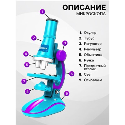 Микроскоп «Юный биолог», кратность увеличения 450х, 200х, 100х, с подсветкой