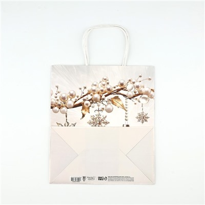 Пакет подарочный новогодний «С Новым годом», белый крафт, 22×25×12 см