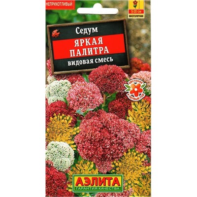 Седум Яркая Палитра Аэлита