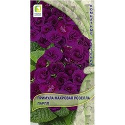 Примула Розелла Парпл махровая (П)