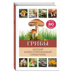 Эксмо Бэрбель Офтринг "Грибы. Краткий иллюстрированный справочник"
