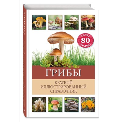 Эксмо Бэрбель Офтринг "Грибы. Краткий иллюстрированный справочник"