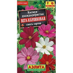 1555A Космея Вега карликовая, смесь сортов 0,3 г