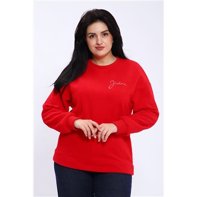 Натали Свитшот 82067