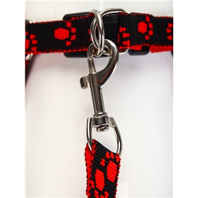 Шлейка с поводком «Большая лапа», ширина 1.5 см, поводок 120 см, шлейка 28-42 см, красная, чёрная