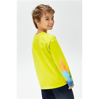 Джемпер ACOOLA, 1038585