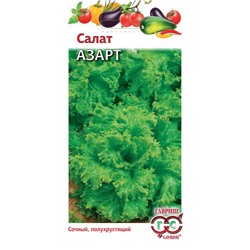 Салат Азарт (Гавр)