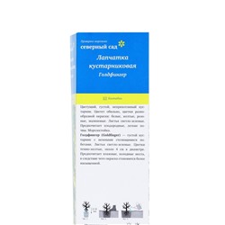 Лапчатка кустарниковая «Голдфингер», туба, 1 шт., Весна 2026, «ПОИСК»