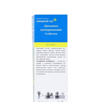 Лапчатка кустарниковая «Голдфингер», туба, 1 шт., Весна 2026, «ПОИСК»