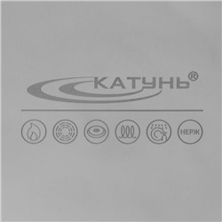 Кастрюля Катунь «Общепит», 15 л, d=30 см, h=25 см, капсульное дно, индукция, нержавеющая сталь
