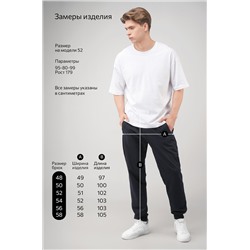 Мужские брюки из футера двухнитки Happyfox