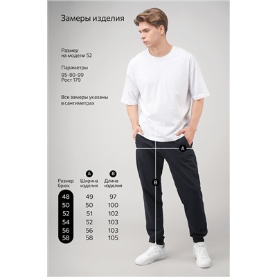 Мужские брюки из футера двухнитки Happyfox