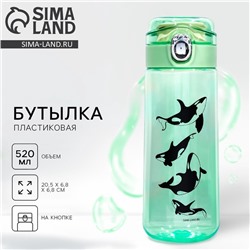 Бутылка для воды «Касатки», 520 мл