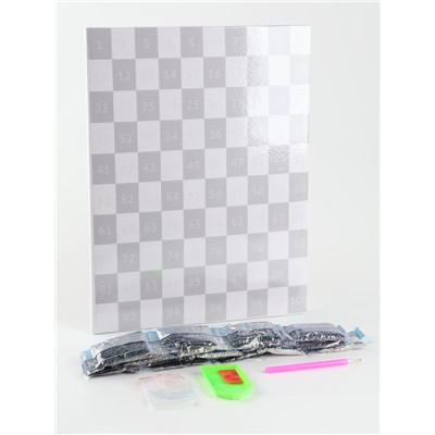 Алмазная мозаика по фото, на раме 30×40, полное заполнение, Gray